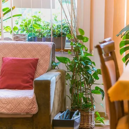 Sudety Blisko Szlakow Gorskich I Wyciagow Narciarskich, Prywatny Bezplatny Parking