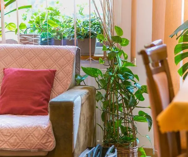 Sudety Blisko Szlaków Górskich I Wyciągów Narciarskich, Prywatny Bezpłatny Parking